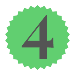 icon 4